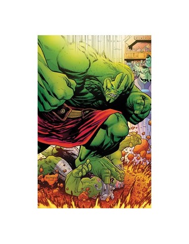 977000546200400125 HULK 10. (EL INCREIBLE  HULK V.2 125) 977000546200400125 HULK 10. (EL INCREIBLE  HULK V.2 125)