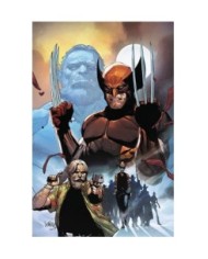 977000544600400133 LOBEZNO 27 (133)