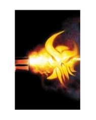 977000563900000008 EL CASTIGADOR 08 DE 13 977000563900000008 EL CASTIGADOR 08 DE 13