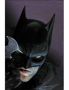 9788419733450 ECC    FOCUS - Mikel Janín: Batman: Yo soy suicida Tom King, MIKEL JANĺN