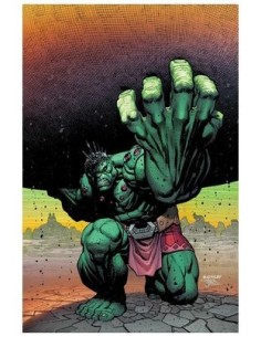 977000546200400126 PANINI    HULK 11. (EL INCREIBLE  HULK V.2 126) RYAN OTTLEY 977000546200400126 PANINI    HULK 11. (EL INCREIBLE  HULK V.2 126) RYAN OTTLEY