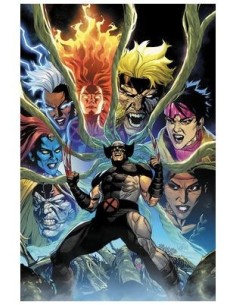 977000544600400136 PANINI    LOBEZNO 30 (136) JUAN JOSE RYP 977000544600400136 PANINI    LOBEZNO 30 (136) JUAN JOSE RYP