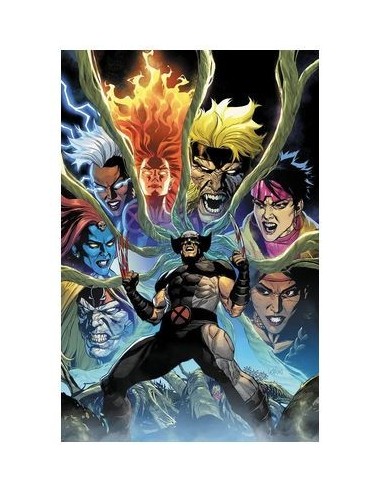 977000544600400136 PANINI    LOBEZNO 30 (136) JUAN JOSE RYP 977000544600400136 PANINI    LOBEZNO 30 (136) JUAN JOSE RYP