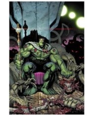 977000546200400127 PANINI    HULK 12. (EL INCREIBLE  HULK V.2 127) RYAN OTTLEY 977000546200400127 PANINI    HULK 12. (EL INCREIBLE  HULK V.2 127) RYAN OTTLEY