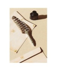 SET BOLIGRAFO PLUMA Y CARTAS HARRY POTTER  8435497273330 SET BOLIGRAFO PLUMA Y CARTAS HARRY POTTER  8435497273330