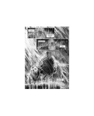 ALKAIOS TENGU EDICIONES25,00 €25,00 €  TENGU EDICIONES