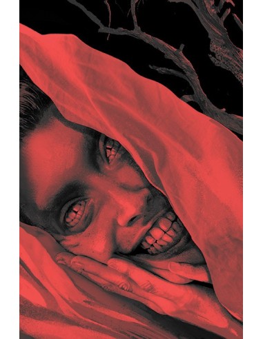 9788419811660 ECC    Universo Sandman - País de pesadillas vol. 1  James Tynion IV  9788419811660 ECC    Universo Sandman - País de pesadillas vol. 1  James Tynion IV