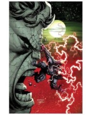 977000546200400128 PANINI    HULK 13. (EL INCREIBLE  HULK V.2 128) RYAN OTTLEY