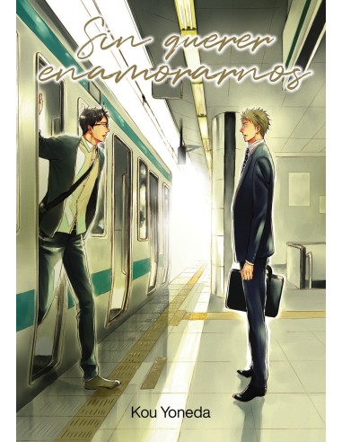 SIN QUERER ENAMORARNOS 9788418739309