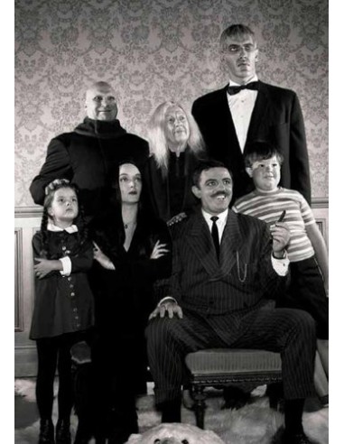 ADDAMS Y MUNSTERS DOS FAMILIAS TERRORIFICAMENTE DIVERTIDAS LIBROS27... ADDAMS Y MUNSTERS DOS FAMILIAS TERRORIFICAMENTE DIVERTIDAS LIBROS27...
