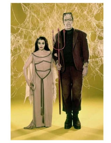 ADDAMS Y MUNSTERS DOS FAMILIAS TERRORIFICAMENTE DIVERTIDAS LIBROS27... ADDAMS Y MUNSTERS DOS FAMILIAS TERRORIFICAMENTE DIVERTIDAS LIBROS27...