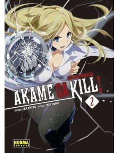 SEGUNDA MANO AKAME GA KILL ZERO N2 9788467929911