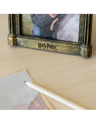MARCO FOTOS 3D HARRY POTTER ESPEJO DE OESED HARRY POTTER17,95 €17,9... MARCO FOTOS 3D HARRY POTTER ESPEJO DE OESED HARRY POTTER17,95 €17,9...