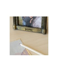 MARCO DE FOTOS 3D HARRY POTTER ESPEJO DE OESED