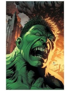 977000546200400130 PANINI   HULK 15. (EL INCREIBLE  HULK V.2 130) DAVID PEPOSE 977000546200400130 PANINI   HULK 15. (EL INCREIBLE  HULK V.2 130) DAVID PEPOSE