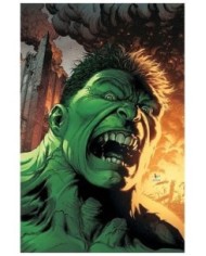 977000546200400130 PANINI   HULK 15. (EL INCREIBLE  HULK V.2 130) DAVID PEPOSE