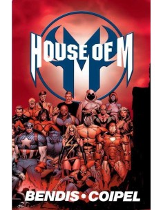 9788411504300 PANINI   MARVEL MUST-HAVE. DINASTIA DE M BRIAN MICHAEL BENDIS 9788411504300 PANINI   MARVEL MUST-HAVE. DINASTIA DE M BRIAN MICHAEL BENDIS