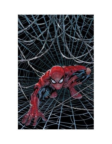 977000533900900228,PANINI,EL ASOMBROSO SPIDERMAN 19, Marvel, ZEB WELLS