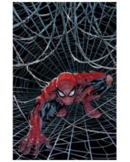 977000533900900228,PANINI,EL ASOMBROSO SPIDERMAN 19, Marvel, ZEB WELLS