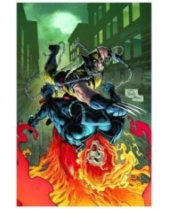 977000544600400143,PANINI,LOBEZNO 37 (147), Marvel, JUAN JOSE RYP