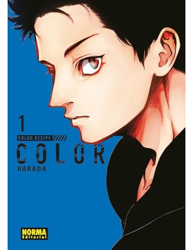 COLOR RECIPE 1 COLOR RECIPE 1