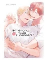 9788419986405,ARECHI,AMEMONOS HASTA EL AMANECER 01, Manga, Yaoi, TOMO KURAHASHI