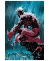 977293854800800001,PANINI,DAREDEVIL 01 (48), Marvel, AARON KUDER 977293854800800001,PANINI,DAREDEVIL 01 (48), Marvel, AARON KUDER