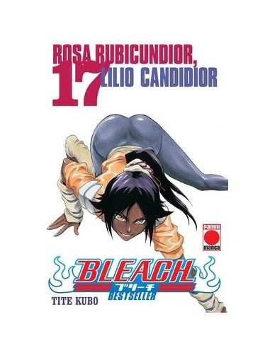 BLEACH BESTSELLER 17,9788410510067,TITE KUBO,PANINI BLEACH BESTSELLER 17,9788410510067,TITE KUBO,PANINI