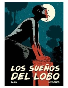 LOS SUEÑOS DEL LOBO,9788410031340,ISMAEL CANALES
LLOR, FERNANDO,DOLMEN EDICIONES