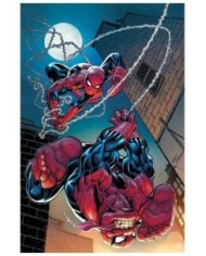 EL ASOMBROSO SPIDERMAN 24,977000533900900233,ZEB WELLS,PANINI EL ASOMBROSO SPIDERMAN 24,977000533900900233,ZEB WELLS,PANINI