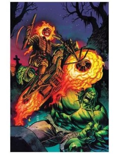EL INCREIBLE HULK 06 (136),977293847500700006,PHILLIP KENNEDY JOHNSON,PANINI EL INCREIBLE HULK 06 (136),977293847500700006,PHILLIP KENNEDY JOHNSON,PANINI