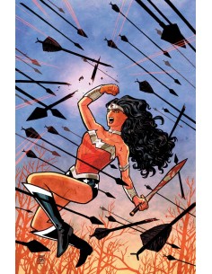 Wonder Woman: Sangre (DC Pocket),9788410108844,Brian Azzarello/ Cliff Chiang/ Tony Akins                                         Wonder Woman: Sangre (DC Pocket),9788410108844,Brian Azzarello/ Cliff Chiang/ Tony Akins