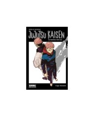 JUJUTSU KAISEN FANBOOK,9788467947298 ,AKUTAMI GEGE,NORMA