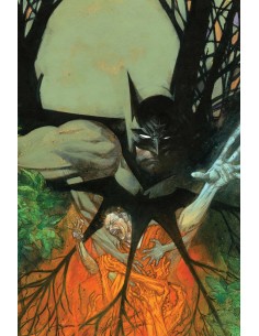 Batman: Asilo Arkham - Purgatorio,9788410134942,Dan Slott, Ryan Sook,ECC Batman: Asilo Arkham - Purgatorio,9788410134942,Dan Slott, Ryan Sook,ECC