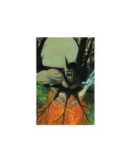 Batman: Asilo Arkham - Purgatorio,9788410134942,Dan Slott, Ryan Sook,ECC Batman: Asilo Arkham - Purgatorio,9788410134942,Dan Slott, Ryan Sook,ECC