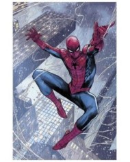 ULTIMATE SPIDERMAN 01,977293860900600001,AL WEING,PANINI ULTIMATE SPIDERMAN 01,977293860900600001,AL WEING,PANINI