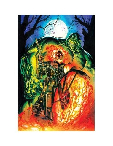 EL INCREIBLE HULK 08 (138),977293847500700008,PHILLIP KENNEDY JOHNSON,PANINI