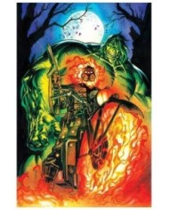 EL INCREIBLE HULK 08 (138),977293847500700008,PHILLIP KENNEDY JOHNSON,PANINI