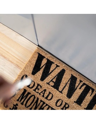 FELPUDO ONE PIECE NETFLIX  8435497294618 FELPUDO ONE PIECE NETFLIX  8435497294618