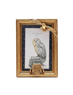 HARRY POTTER MARCO DE FOTOS DORADO HEDWIG 5017224979789
