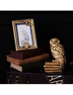 HARRY POTTER MARCO DE FOTOS DORADO HEDWIG 5017224979789