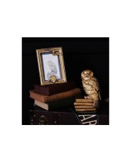 HARRY POTTER MARCO DE FOTOS DORADO HEDWIG 5017224979789 HARRY POTTER MARCO DE FOTOS DORADO HEDWIG 5017224979789