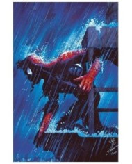 ZEB WELLS,PANINI,MARVEL,977000533900900238,EL ASOMBROSO SPIDERMAN 29