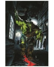 PHILLIP KENNEDY JOHNSON,PANINI,MARVEL,977293847500700010,EL INCREIBLE HULK 10 (140)
