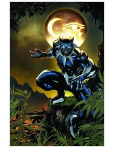 VARIOS AUTORES,PANINI,MARVEL,978977293865000001,ULTIMATE BLACK PANTHER 01 VARIOS AUTORES,PANINI,MARVEL,978977293865000001,ULTIMATE BLACK PANTHER 01