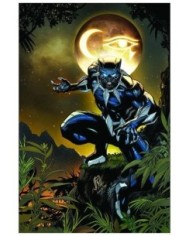 VARIOS AUTORES,PANINI,MARVEL,978977293865000001,ULTIMATE BLACK PANTHER 01