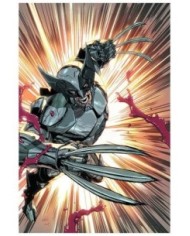 VARIOS AUTORES,PANINI,,977000544600400152,LOBEZNO 46 (152)