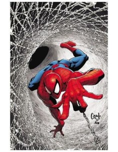VARIOS AUTORES,PANINI,,977000533900900239,EL ASOMBROSO SPIDERMAN 30 VARIOS AUTORES,PANINI,,977000533900900239,EL ASOMBROSO SPIDERMAN 30