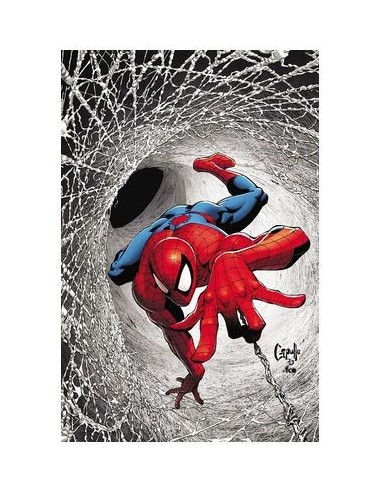 VARIOS AUTORES,PANINI,,977000533900900239,EL ASOMBROSO SPIDERMAN 30 VARIOS AUTORES,PANINI,,977000533900900239,EL ASOMBROSO SPIDERMAN 30
