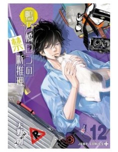 AKIRA AMANO,PANINI,,9788410513914,EL MISTERIO PROHIBIDO DE RON KAMONOHASHI 12 AKIRA AMANO,PANINI,,9788410513914,EL MISTERIO PROHIBIDO DE RON KAMONOHASHI 12